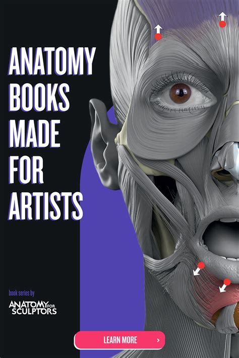 Anatomy Of Facial Expressions By Anatomy For Sculptors Anatomy Books For Artists Anatomy Books