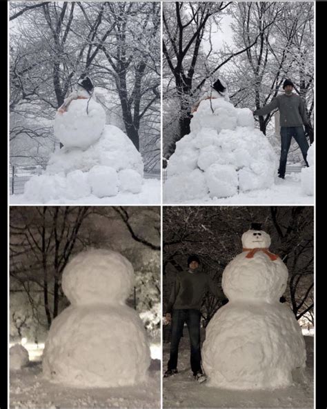 The Gentle Giant Behind Central Parks Giant Snowmen The Science Survey