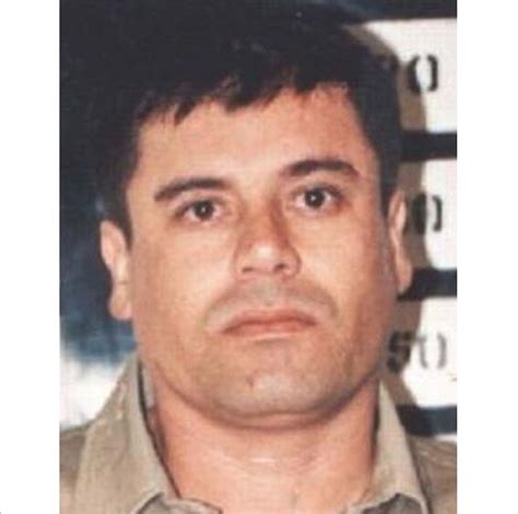 Meksikalı uyuşturucu çetesi lideri joaquin 'el chapo' guzman kimdir? Drug lord El Chapo Caught Again, Tweets Mexican President ...