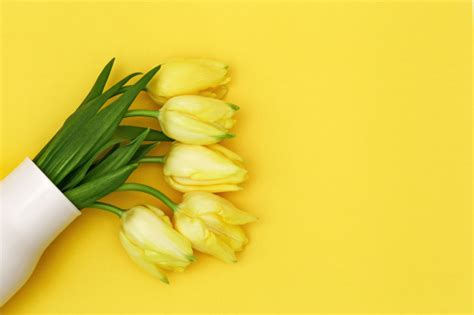 Premium Photo Blooming Yellow Flowers Tulip In Vase On Monochrome