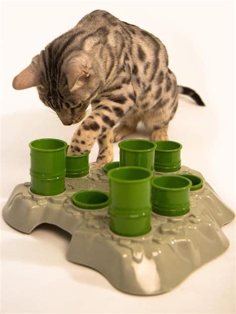 We reviewed different types & materials for all needs. The Best Toys for Playful Cats and Dogs: Place cat food ...