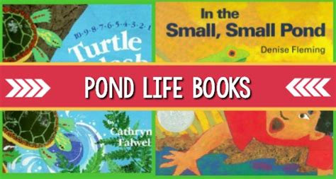 Books For Preschool About Pond Life Pre K Pages