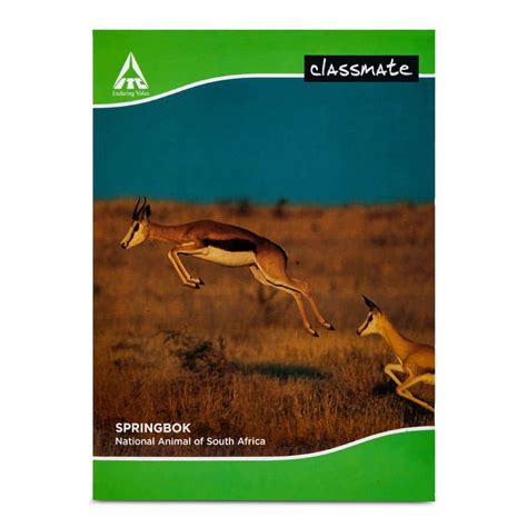Classmate King Size Notebook 172 Pages Ruled 240mmx180mm Sbc Store