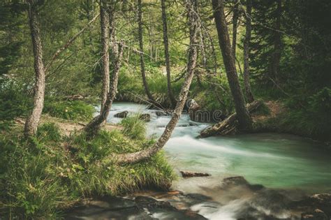 Scenic Forest River Stock Image Image Of Place Natural 199976983