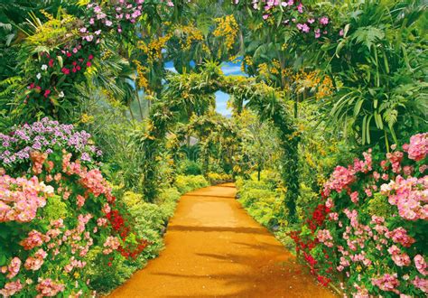 Flower Alley Stock Photo Image Of Liana Road Arches 46691928