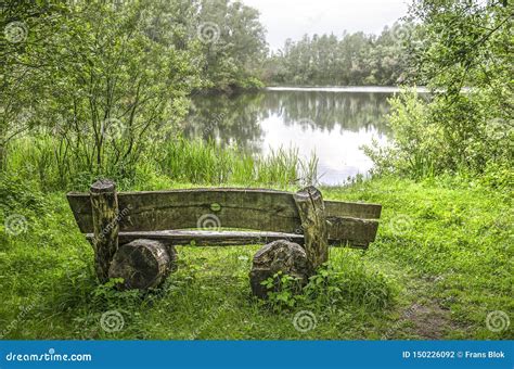 Wooden Bench By A Lake Stock Photo Image Of Lake Polder 150226092