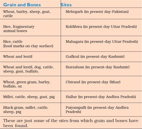 Mehrgarh was influenced by the near eastern neolithic, with similarities between domesticated wheat varieties, early phases of farming, pottery, other archaeological artefacts, some domesticated plants and herd animals. NCERT Class VI Social Studies Chapter 3 From Gathering To ...