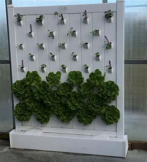 Top 22 Awesome Indoor Hydroponic Wall Garden Design Ideas