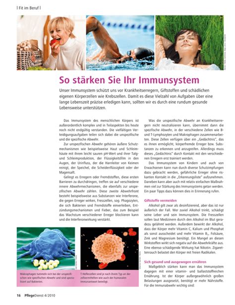 so stärken sie ihr immunsystem