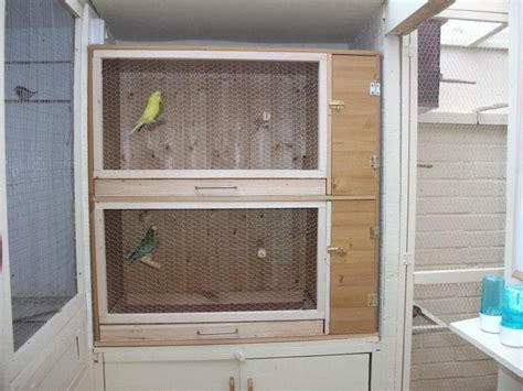 Homemade Bird Aviaries And Flight Cages Bird Aviary Bird Cage Pet