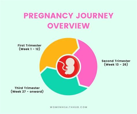 What To Expect In The First Trimester Of Pregnancy Woman Passion