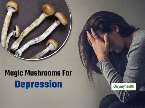 Can Magic Mushrooms Treat Depression Scientists Answer Onlymyhealth