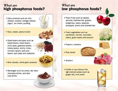 You may need to change what you eat to manage your chronic kidney disease (ckd). Pin on phosphorous