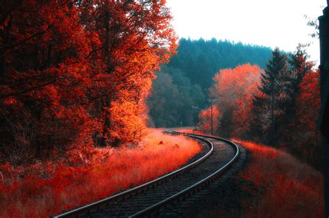 Railway Autumn Forest Hd Nature 4k Wallpapers Images Backgrounds Photos And Pictures