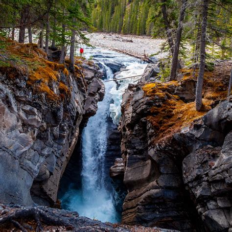 Siffleur Falls Trail Guide Explore Nordegg And Abraham Lake