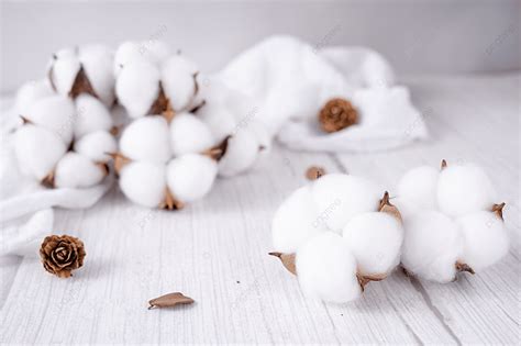 Xinjiang Cotton Cotton Raw Material Textile Photograph With Picture