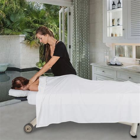 earthlite ellora vista electric lift flat top massage table telli industries