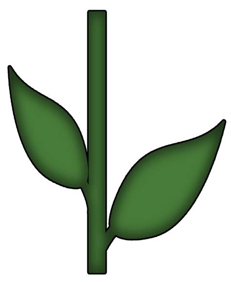Highlights include a tall, graceful floral stem botanical drawing, with leaves that are lightly veined in variegated shades of gray. The green stem clipart - Clipground