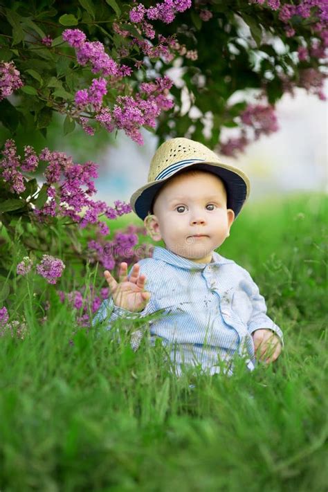 Toddler Sitting On The Grass In A Meadow A Baby On The Background Of