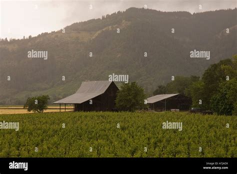 Henry Estate Winery Umpqua Valley Oregon Stock Photo Alamy