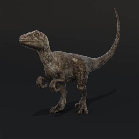 Realistic Velociraptor Rigged Raptor 3d Max Jurassic World Raptors Blue Jurassic World
