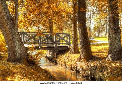 Autumn Scenery Beautiful Gold Fall Park Stock Photo 59623093 Shutterstock