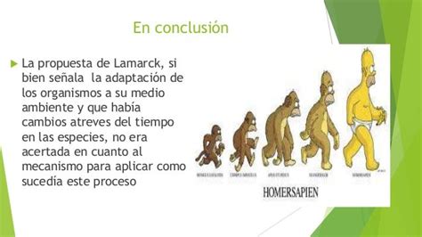 Teoría Del Evolucionismo