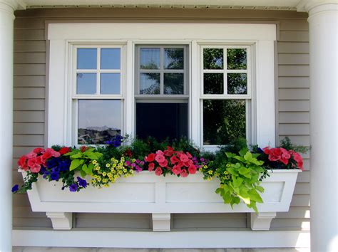 What is the price range for window boxes? Window box perfection | Now that's what a I call a window ...