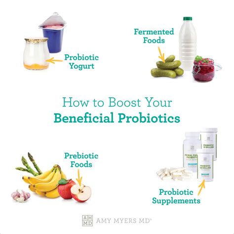 Soil Based Sbo Probiotics Vs Regular Probiotics Amy Myers Md