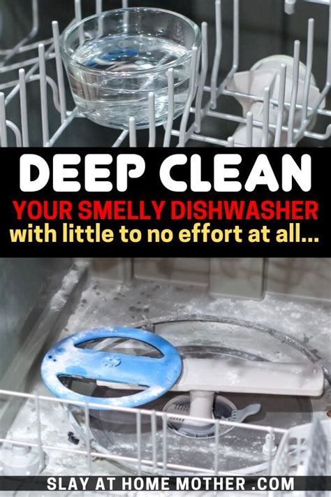 Check spelling or type a new query. Deep Clean Your Smelly Dishwasher | Vinegar cleaning ...