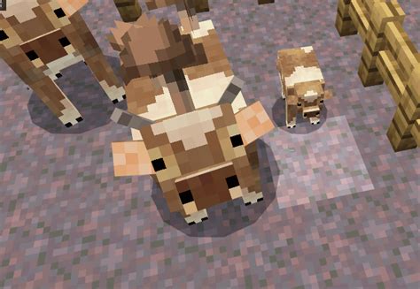 Cuter Vanilla Animals Resource Pack Added Pandas Minecraft Pe