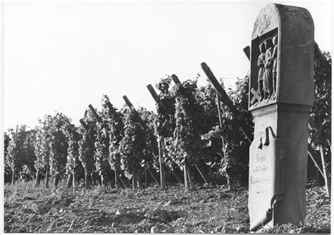 Histoire De La Vigne Et Du Vin En France Aperçu Historique
