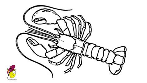 Lobster - Sea Creatures and Animales Easy Drawing - How to ... 380x380 cartoon sea animal in line art style, black and white easy.
