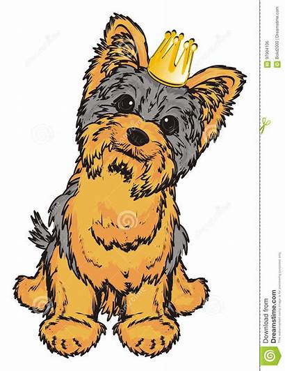 Yorkie Crown Yorkshire Boog Een Clipart Terrier