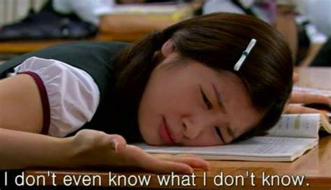 Aug 08, 2013 · uberhumor.com: 41 Accurate Final Exam Memes Gallery : The Lion's Den ...