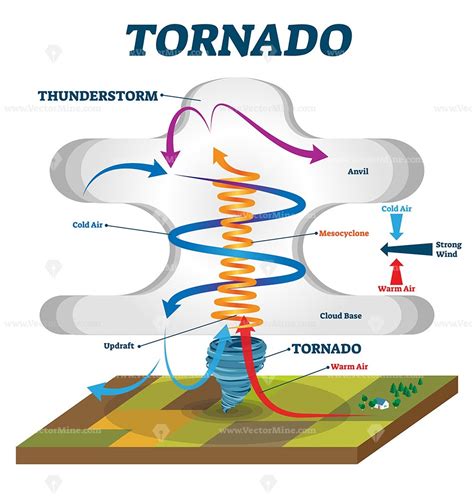 Tornado Vector Illustration Vectormine Tornado Weather Projects