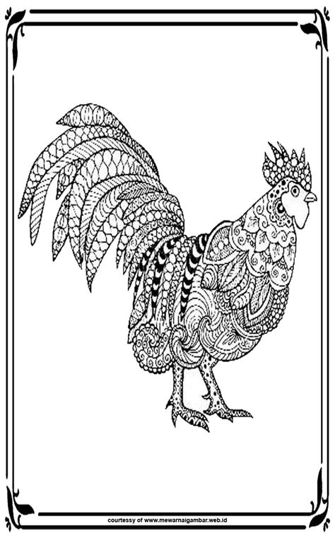 Sebagian besar ayam dipelihara dan diternakan untuk dimanfaatkan daging. Mewarnai Gambar Ayam Untuk Dewasa | Mewarnai Gambar
