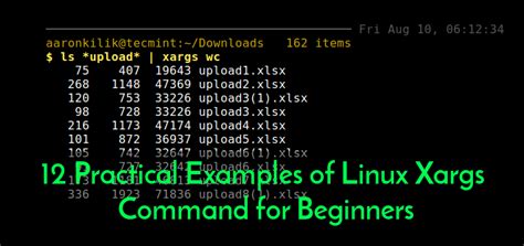 12 Practical Examples Of Linux Xargs Command For Beginners