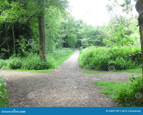 Three Pathways Through Nature Stock Image Image Of Direct Right