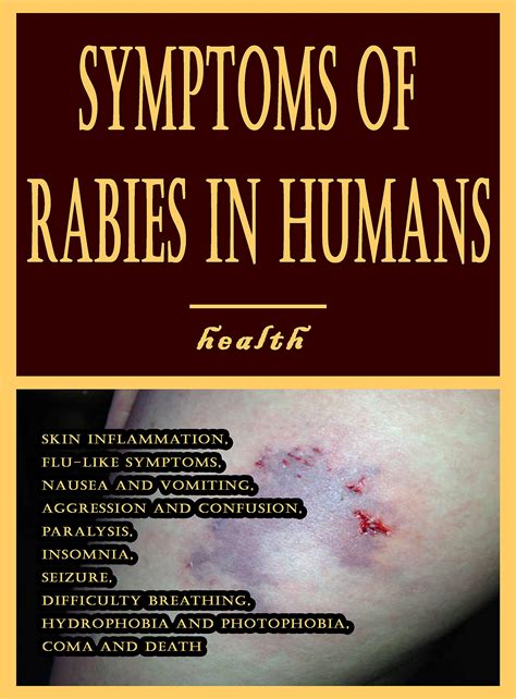 Rabies In Humans