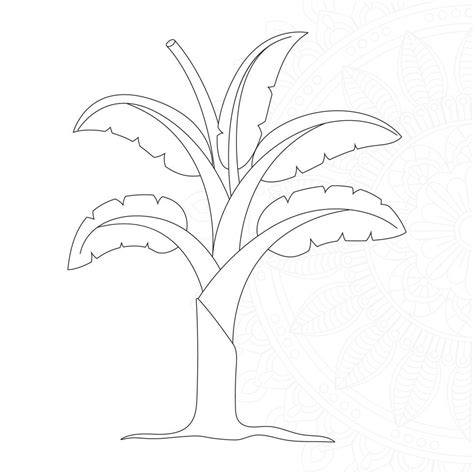 Banana Tree Coloring Pages For Kids 7420013 Vector Art At Vecteezy