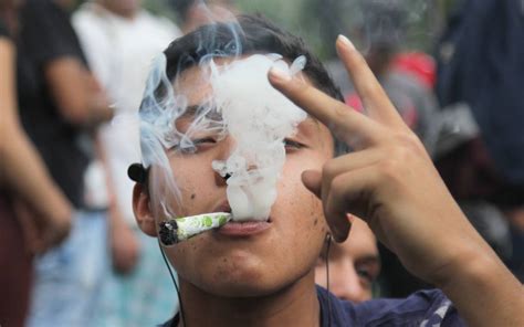 Marihuana La Droga Más Consumida 192 Millones De Usuarios En El Mundo