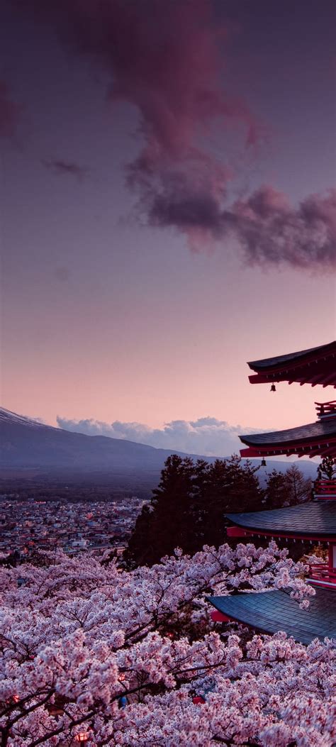 Mount Fuji Framed By Cherry Blossoms Mountain Blossoms Trees Clouds