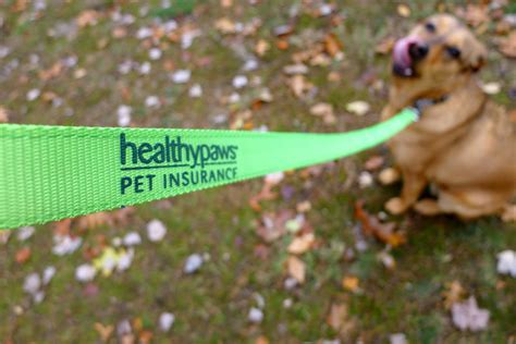 In this video, laura bennett, ceo of embrace pet. Don't Wait Until it is Too Late, Trust the #1 Pet ...