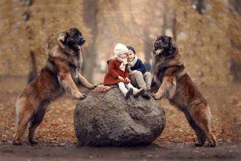 I'm guessing researchers also found toddlers and puppies are two of the most lovable and fun groups of people you could spend time with. 36 Truly Magical Photos of Little Kids and Their Big Dogs