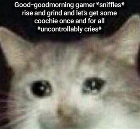 Gamers Rise Up Memes