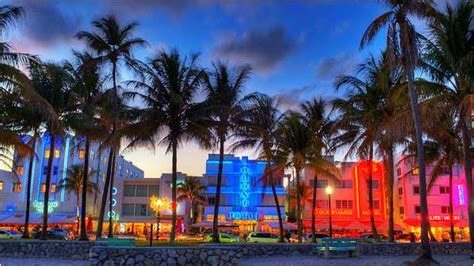 ¿sabes Qué Hacer En Un Viaje A Miami De Turismo