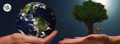 Entendiendo Las Claves De La Sostenibilidad Ambiental Clickoala Blog