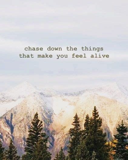 Chase Down The Things That Make You Feel Alive Quotes Sayingtexts Quotestoliveby