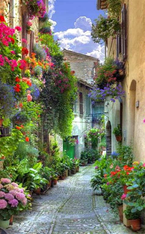 Maybe you would like to learn more about one of these? Verona Italy street flowers | Wonderful places, Italy ...